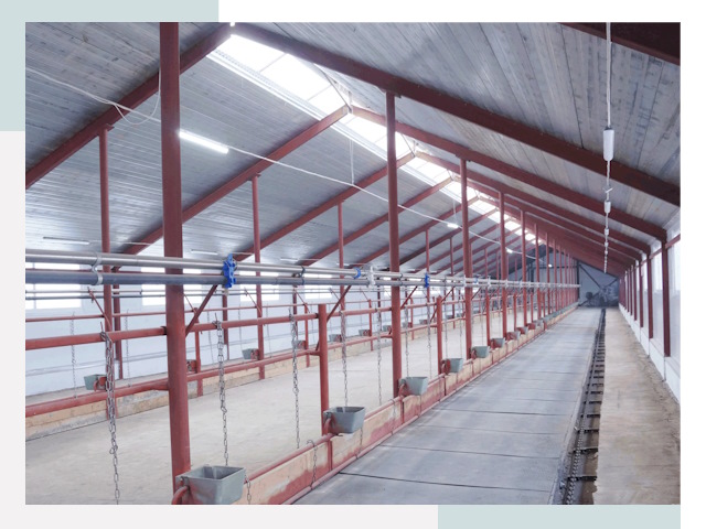 Строительство коровников в Кимовске от 618 руб.