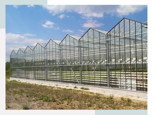 Строительство теплиц в Кимовск от 618 руб. за м²